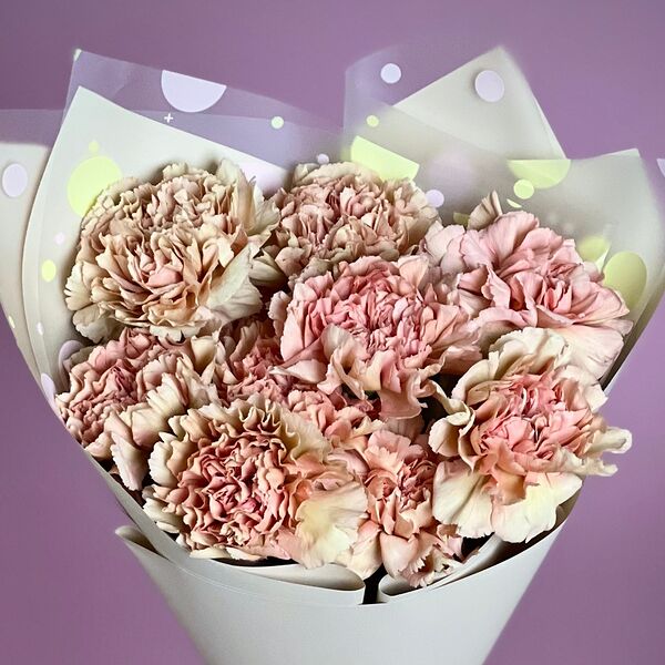 Букет из 11 карамельных гвоздик