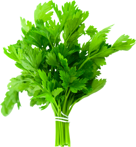 

Петрушка, весовая