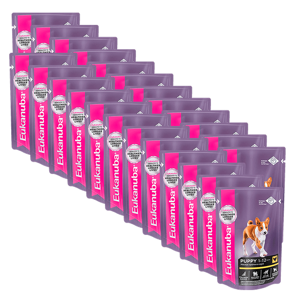 Корм для щенков EUKANUBA курица в соусе конс. пауч 85г (упаковка - 24 шт)