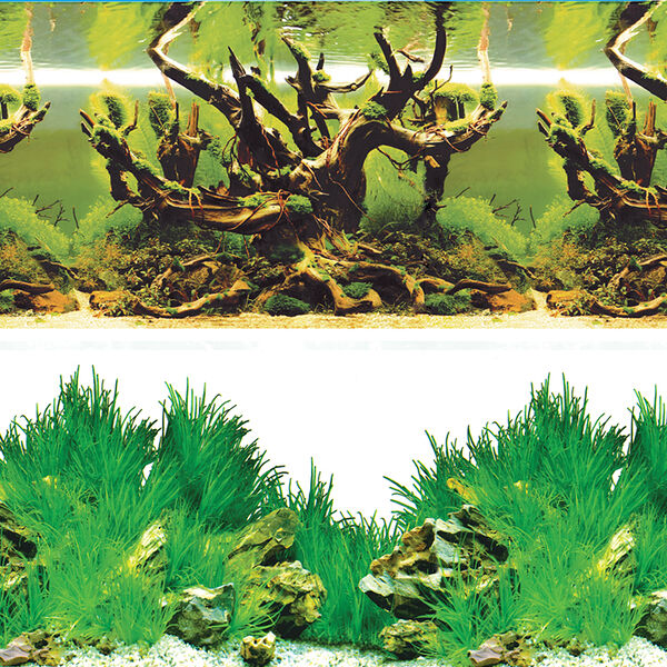 Фон для аквариума Таинственный лес/Новое утро 40х80см