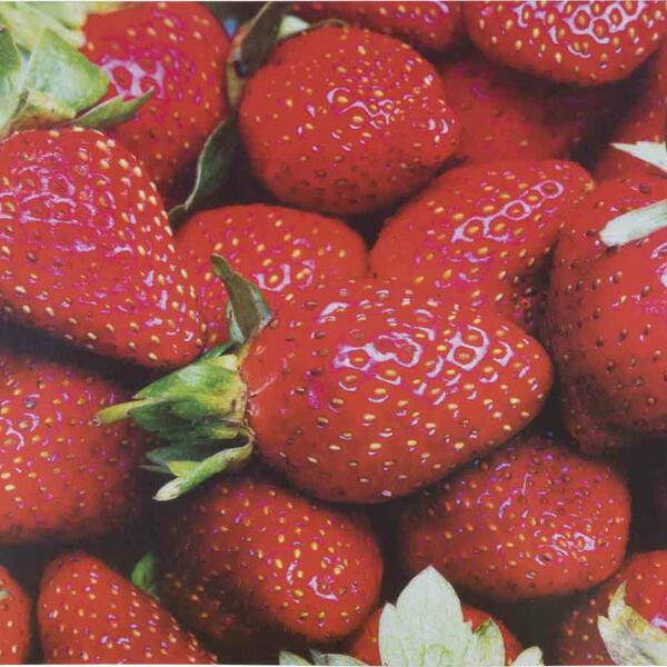 Салфетка индивидуальная Remiling Чайная церемония в ассортименте,