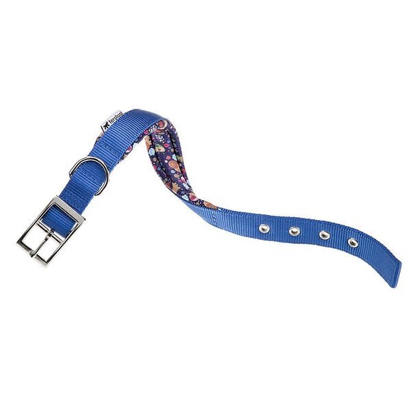 Ferplast ошейник нейлоновый Daytona Fantasy C20/43 43х2 см, синий