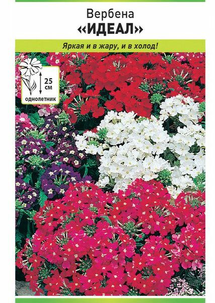 Семена Русский огород Вербена Идеал смесь 0.2г