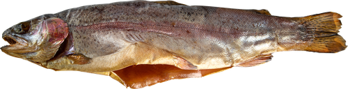 

Форель холодного копчения, потрошеная с головой, весовая