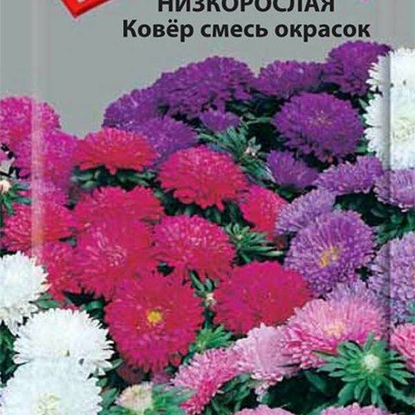 Семена Астра Ковер 0.2 г ТМ Поиск