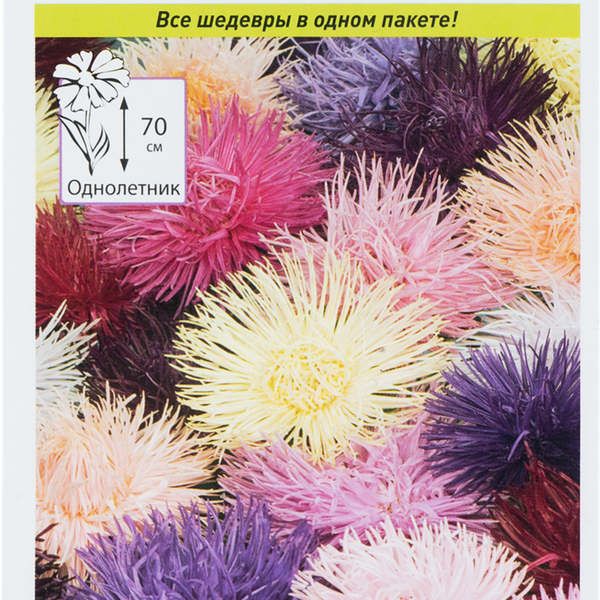 Семена РУССКИЙ ОГОРОД Астра Эрмитаж, 0,3г