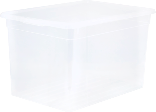 Ящик для хранения с крышкой 365 ДНЕЙ 10л Арт. FB1051