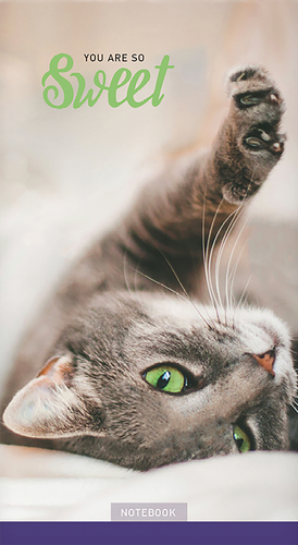 

Блокнот ArtSpace домашние любимцы, А6, 24 листа, на скрепке, в ассортименте