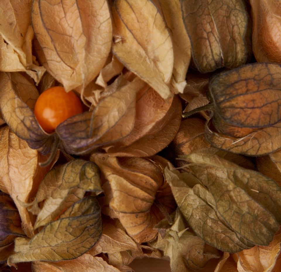 

Физалис очищенный 200г