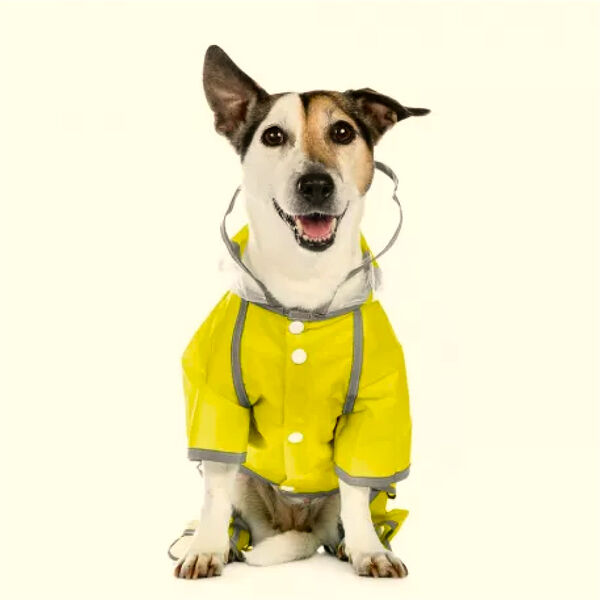Дождевик с ножками для собак M желтый (унисекс)
