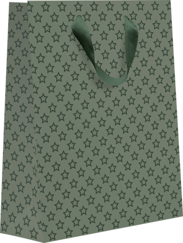 

Пакет подарочный Kvant 7, 41х31х10см, размер XL, в ассортименте