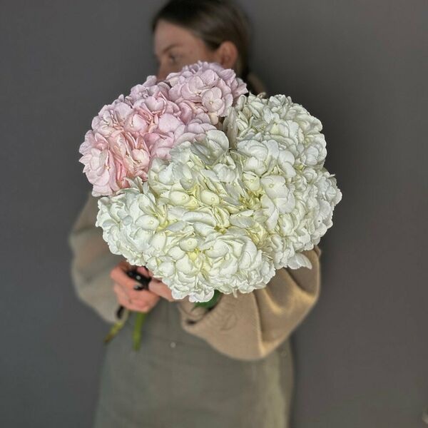 3 Гортензии микс