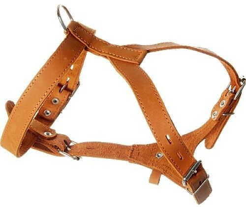 Зооник шлейка кожаная средняя 25 мм.