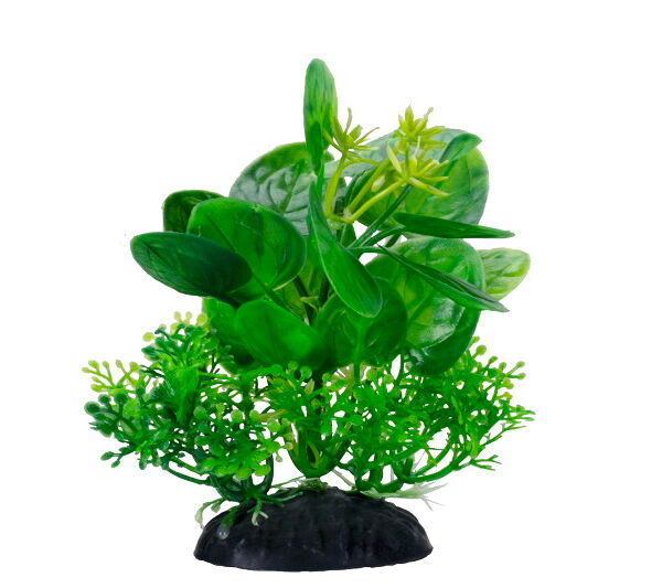 Растение Homefish Кальдезия зеленая для аквариума пластиковое с грузом 12см