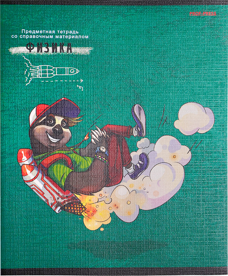 

Тетрадь Prof-press Urban friends Физика, 48 листов