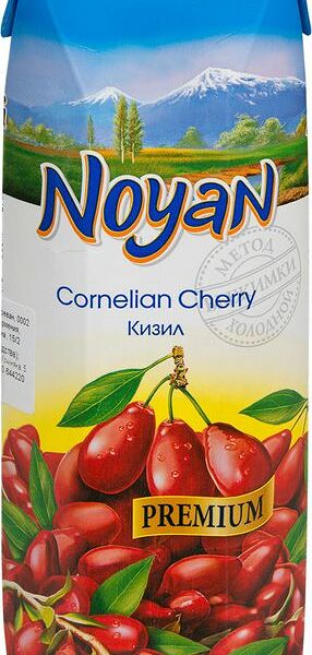 Нектар «Кизил», Noyan