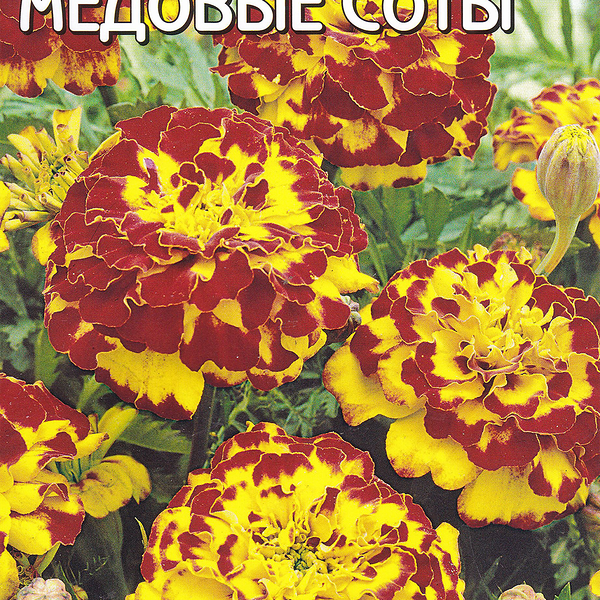 Семена ДОМ СЕМЯН Бархатцы Медовые соты, 0,4г