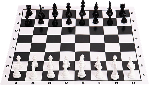 Шахматы Рыжий Кот коробка с полями 28,5х28,5см