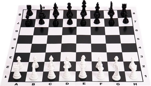 

Игра настольная Рыжий Кот шахматы и шашки 28.5х28.5 см