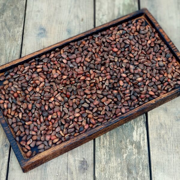 Орех Кедровый в кожуре