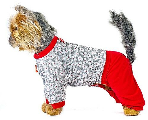 Костюм для собак Happy Puppy Ромашка 5, Унисекс