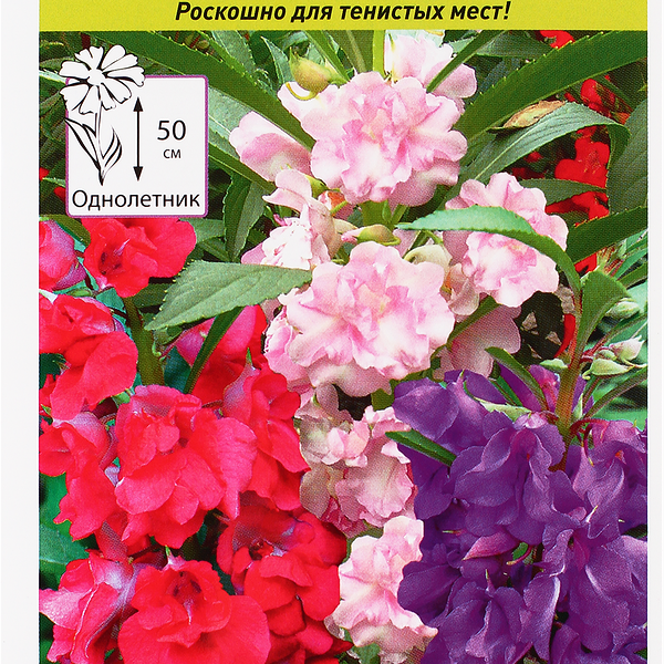 Семена РУССКИЙ ОГОРОД Бальзамин Камелия, смесь, 0,2г