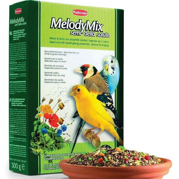 PADOVAN 300гр Корм дополнительный для пения для декоративных птиц MELODYMIX