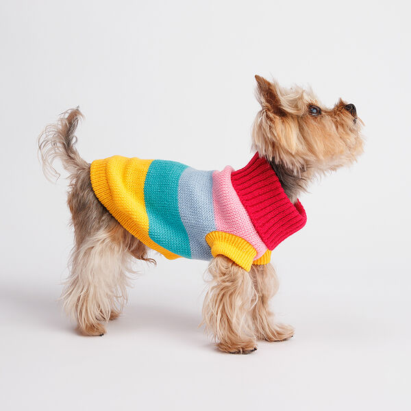 Свитер полосатый для собак Радуга, 20 см