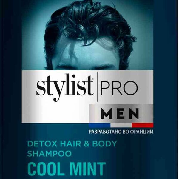 Шампунь для волос 2 в 1 освежающий Stylist Pro Men Cool Mint Power