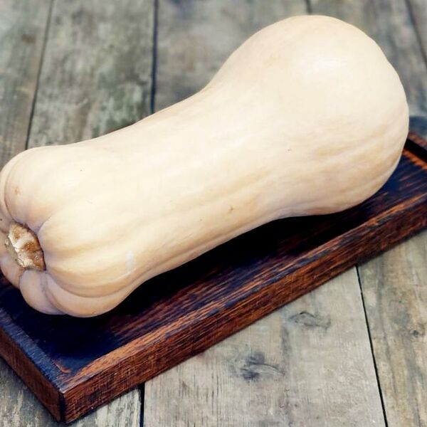 Тыква Баттернат