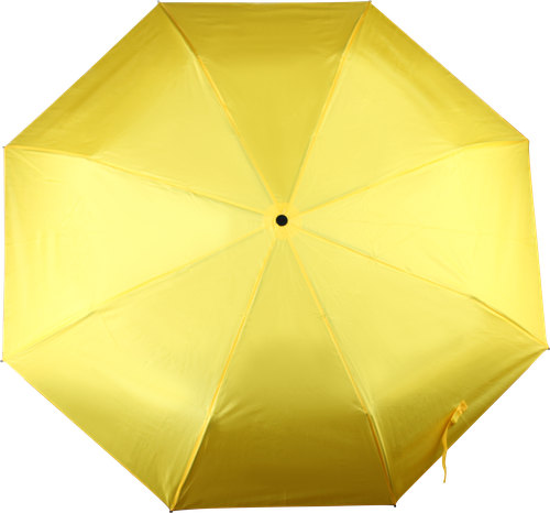 

Зонт женский RAINDROPS суперавтомат, Арт. RD 7631