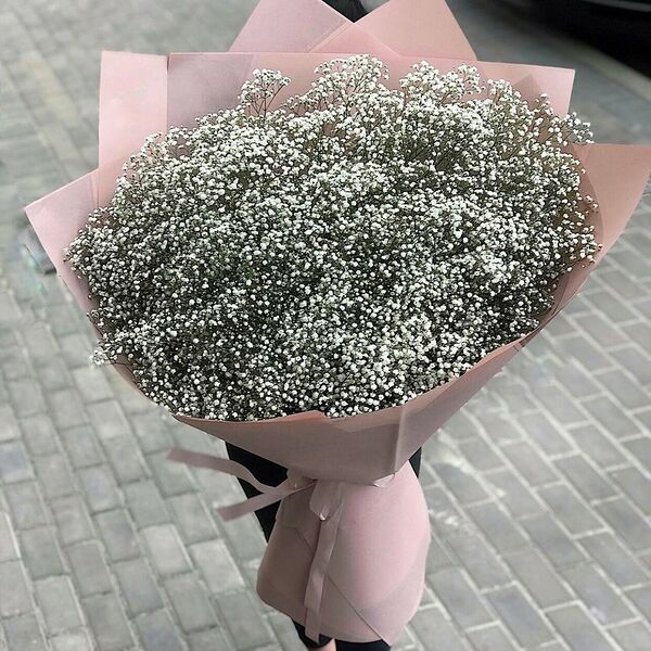 Большой букет белых гипсофил