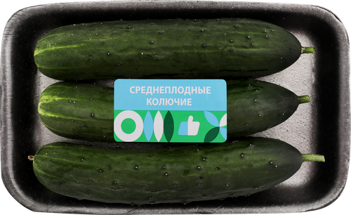 

Огурцы тепличные колючие среднеплодные 600 г