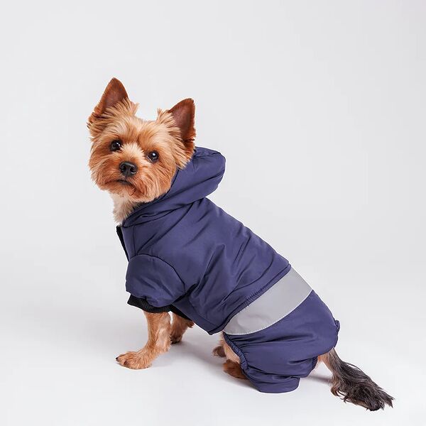 Комбинезон для собак, M, синий