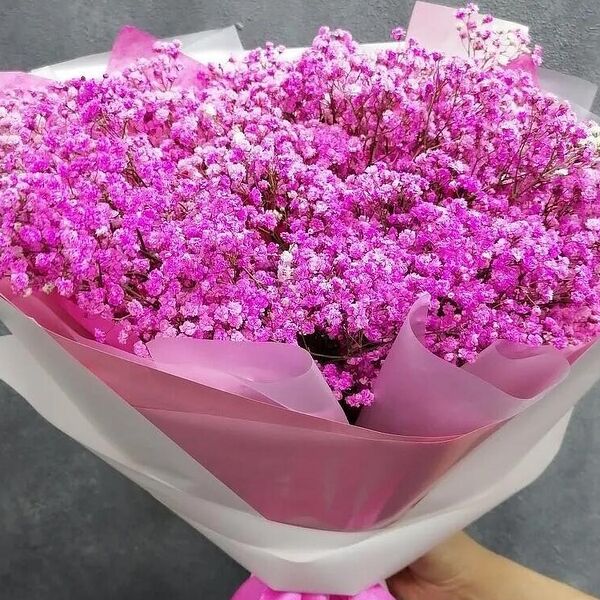 Lady (облако из гипсофилы)