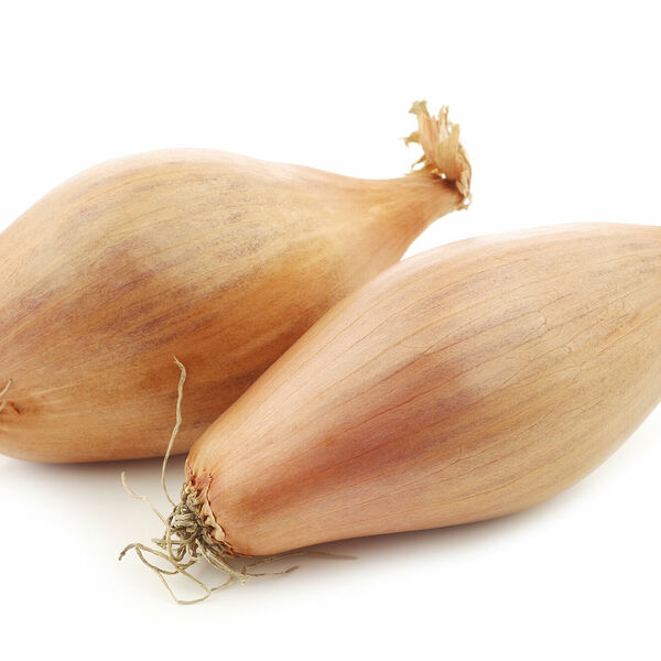 Лук шалот в сетке