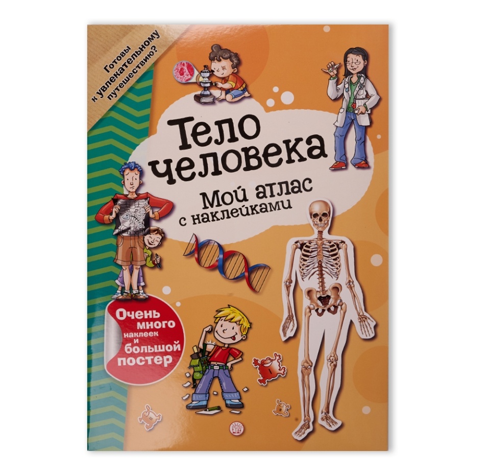 

Книга Мой атлас с наклейками. Тело человека, Россия