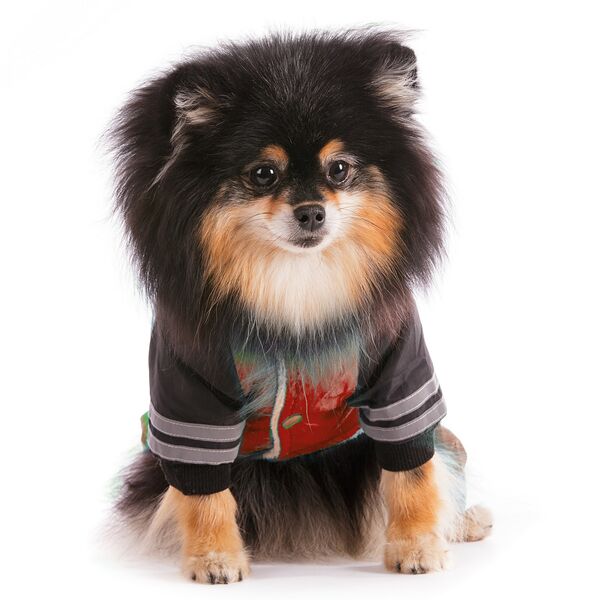 Комбинезон с капюшоном для собак M красный (девочка)