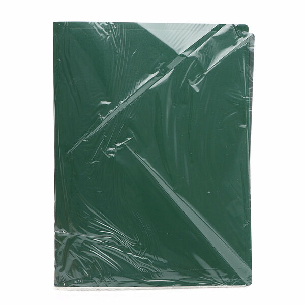 Папки Каждый день с 40 вкладышами, А4