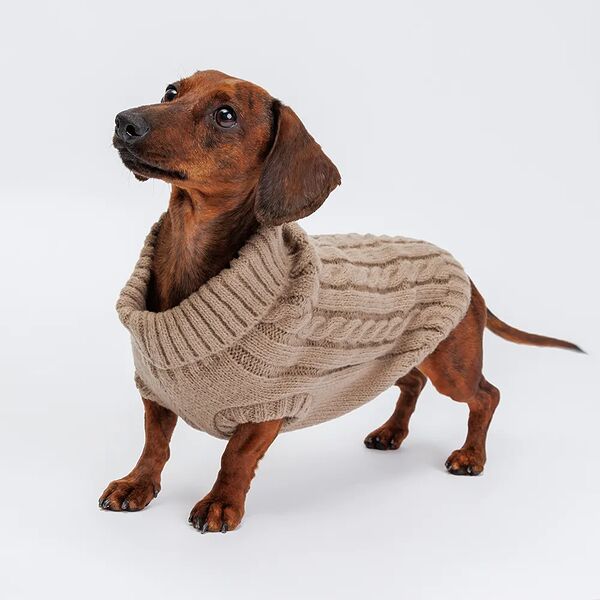 Свитер вязаный Rurri для собак 30 см коричневый