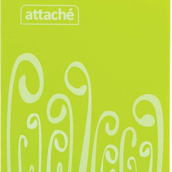 Блокнот А6,пласт обл,80л, ATTACHE FANTASY,салат