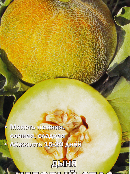 Семена Дыня Поиск Медовый спас