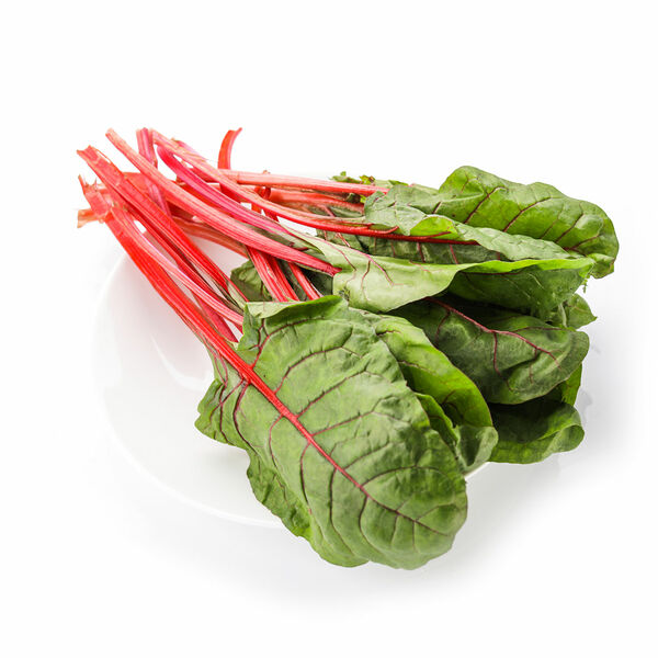 Мангольд Россия