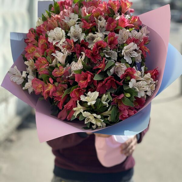 Альстромерия