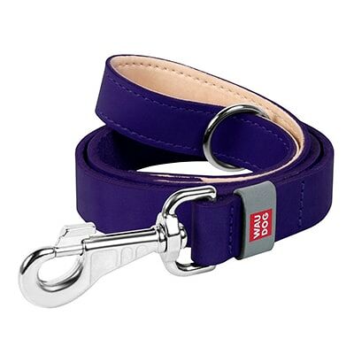 Collar поводок кожаный Waudog Classic 20 мм. х 122 см., Фиолетовый