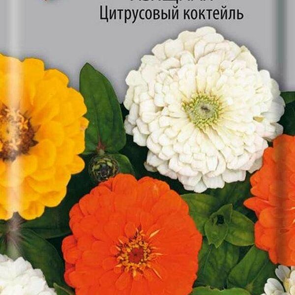 Семена Цинния Цитрусовый коктейль ТМ Поиск