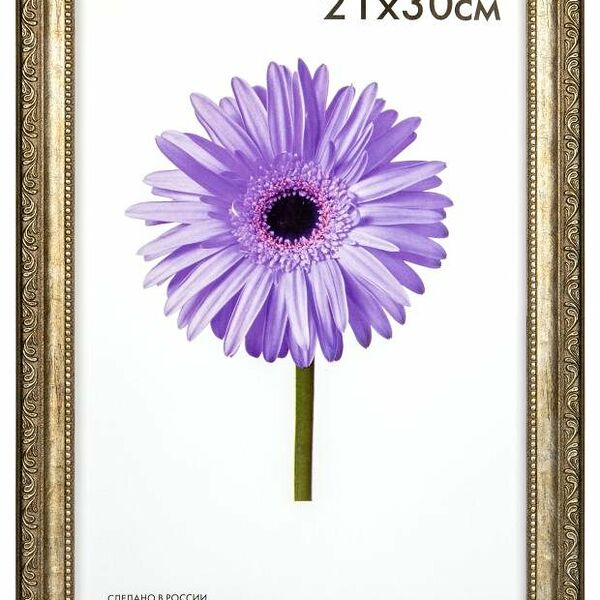 Фоторамка Daniella серебро, 21x30 см