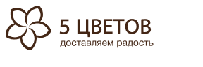 5 Цветов
