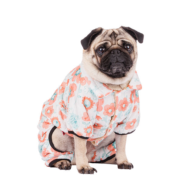 Комбинезон для собак с цветами XL бежевый (девочка)