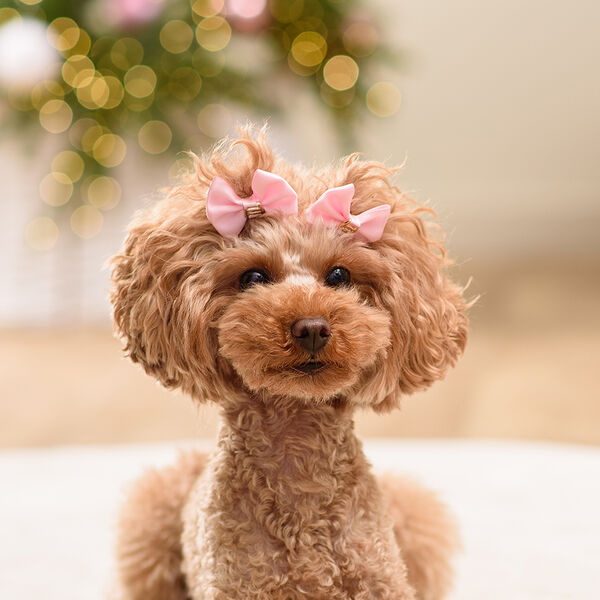 Petmax Бантик розовый 2шт